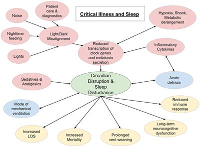 Sleep and critical illness: a review